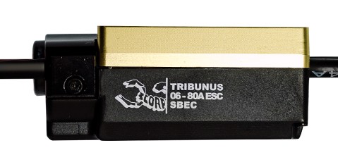 scorpion-tribunus-06-80-esc-sbec.jpg