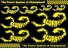 sco-276-scorpion-decal-sticker-001.jpg