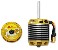 Scorpion HK-4535-450KV 12N14P PAW Edition