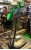 SAB GOBLIN 380 Carbon GRUEN / SCHWARZ inkl. Rotorbl�tter