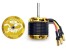 Scorpion HKII-4225-550KV Limited Edition 2022