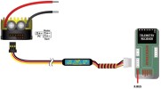 Scorpion Spektrum X-Bus Telemetry Cable / Telemetrie Kabel