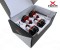 Xnova FPV Brushless Motor SET 2207-2000KV M5 Welle 3-4S